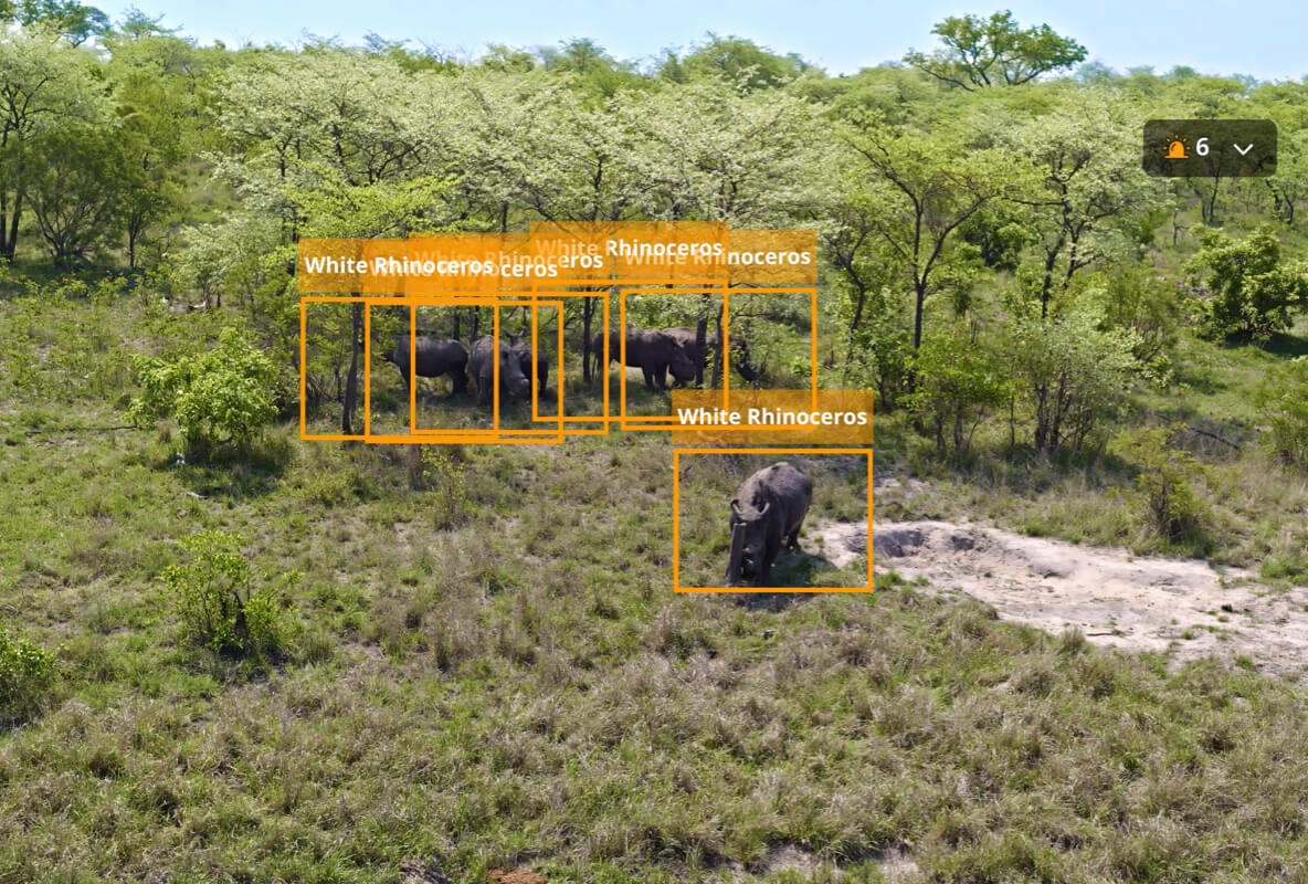 Rhino Protection in South Africa